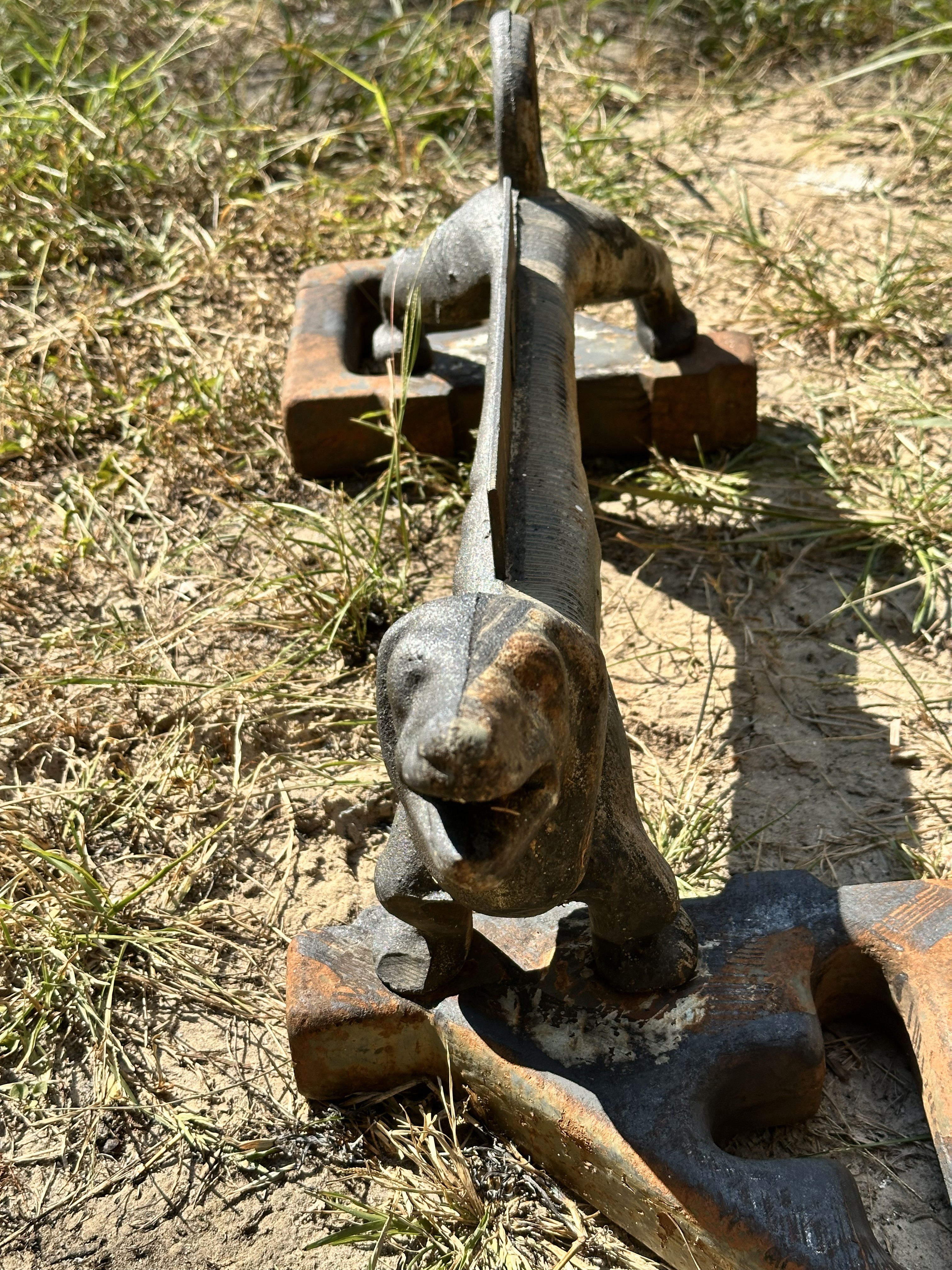LZcleanDog