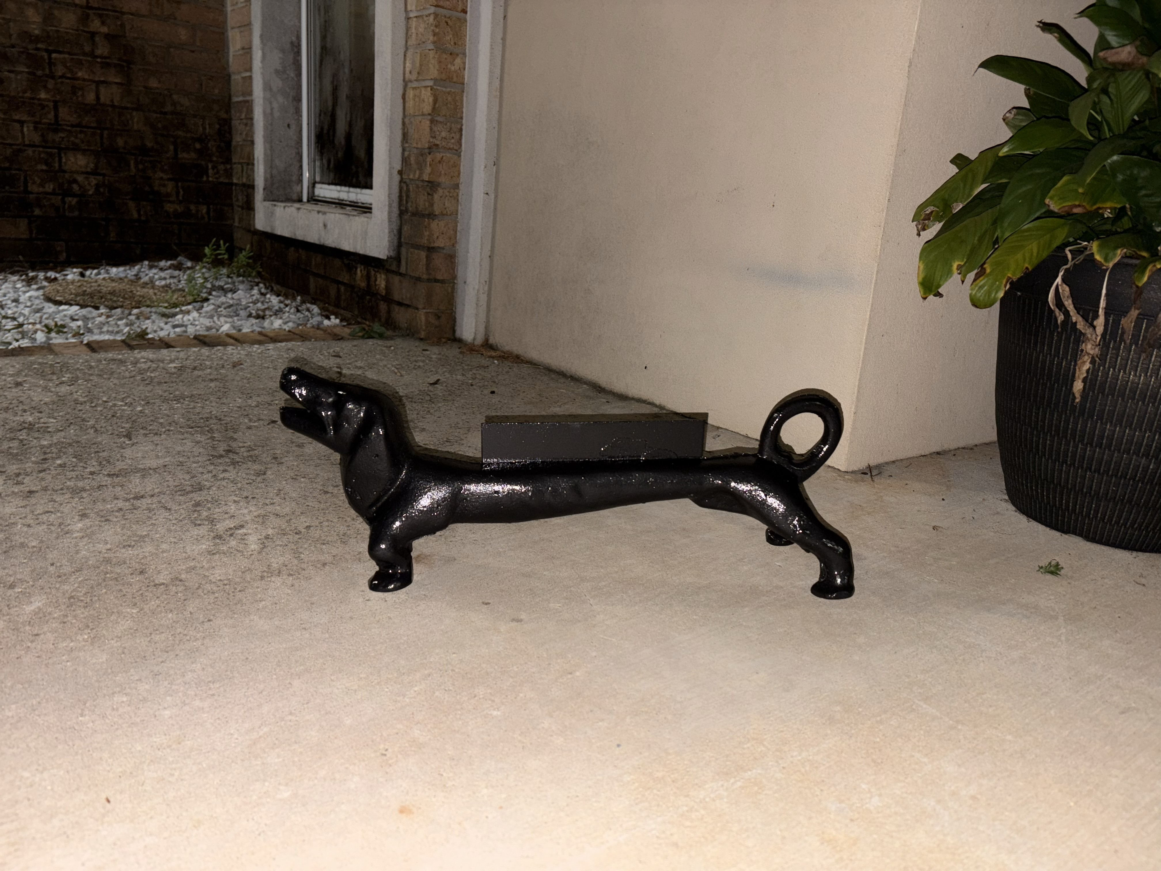 LZcleanDog